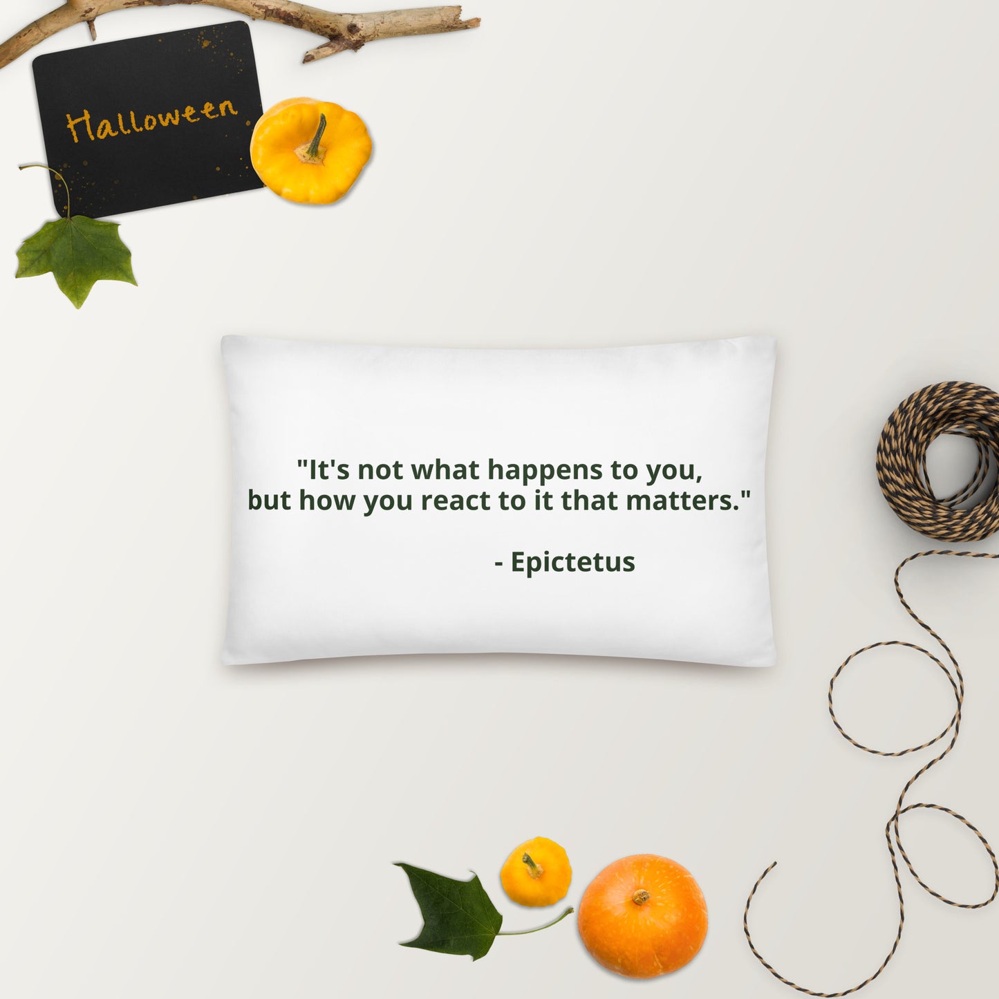 "It's not what happens to you, but how you react to it that matters." - Epictetus- Basic Pillow