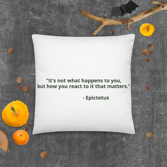 "It's not what happens to you, but how you react to it that matters." - Epictetus- Basic Pillow